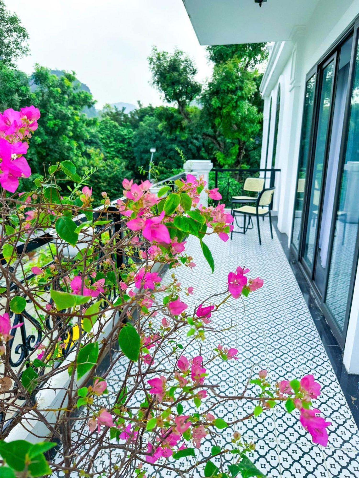 Tam Coc Sana Villa & Homestays نينه بينه المظهر الخارجي الصورة